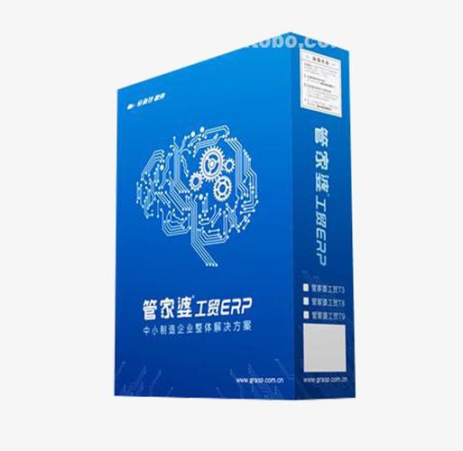 管家婆工贸erp
